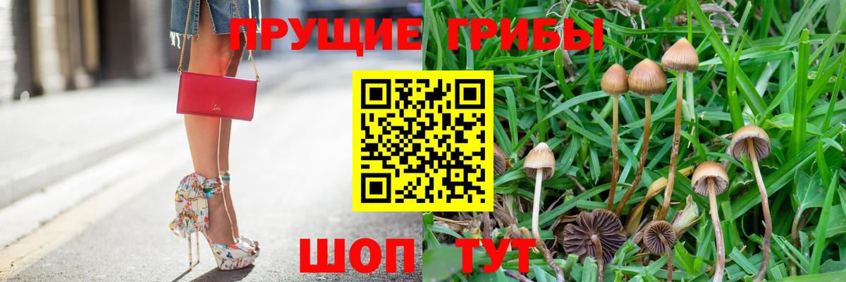 Псилоцибиновые грибы MAGIC MUSHROOMS  Комсомольск-на-Амуре 