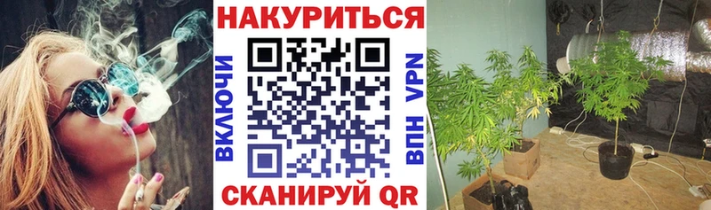Каннабис MAZAR  Комсомольск-на-Амуре 